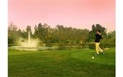 Pole golfowe